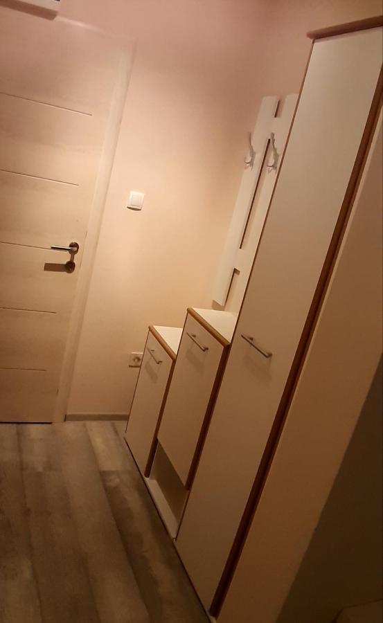 Apartment Lux